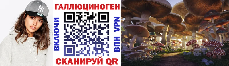 mega ONION  Фролово  Галлюциногенные грибы Psilocybine cubensis 